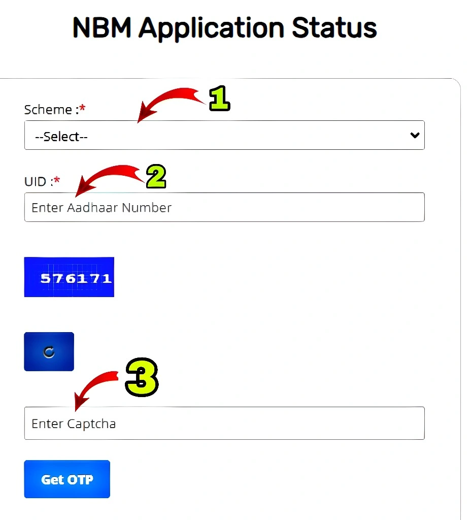 What is “Application Status” on NBM Portal?