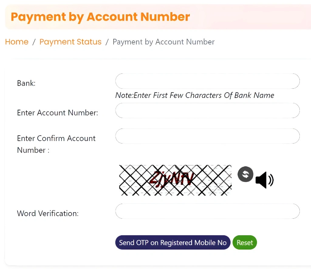 What Is Payment Status on the NBM Portal?