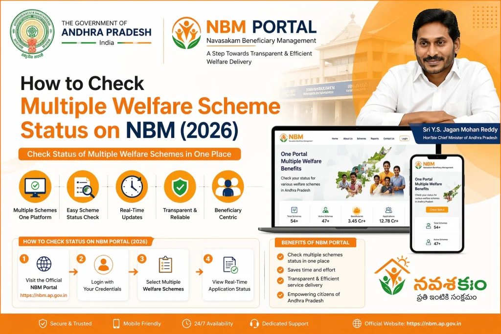 Step‑by‑Step: How to Check Multiple Scheme Statuses on NBM